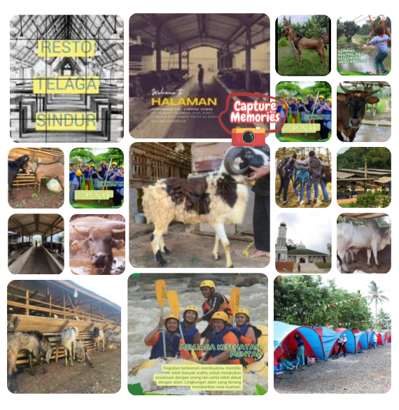 halaman spot halaman spot