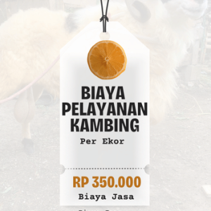 Biaya Jasa Rawat dan Sembelih Domba/ Kambing