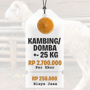 Domba/ Kambing Bobot +- 25 Kg