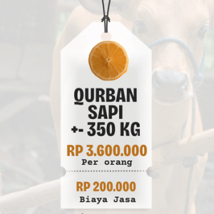 Sapi Bobot +- 350 Kg untuk 7 Orang